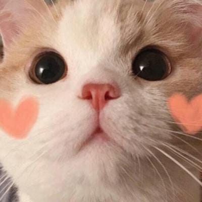 یونیس خان avatar
