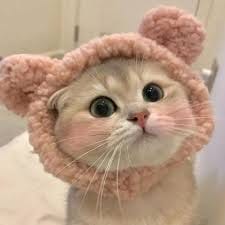 فہیم بزمی avatar
